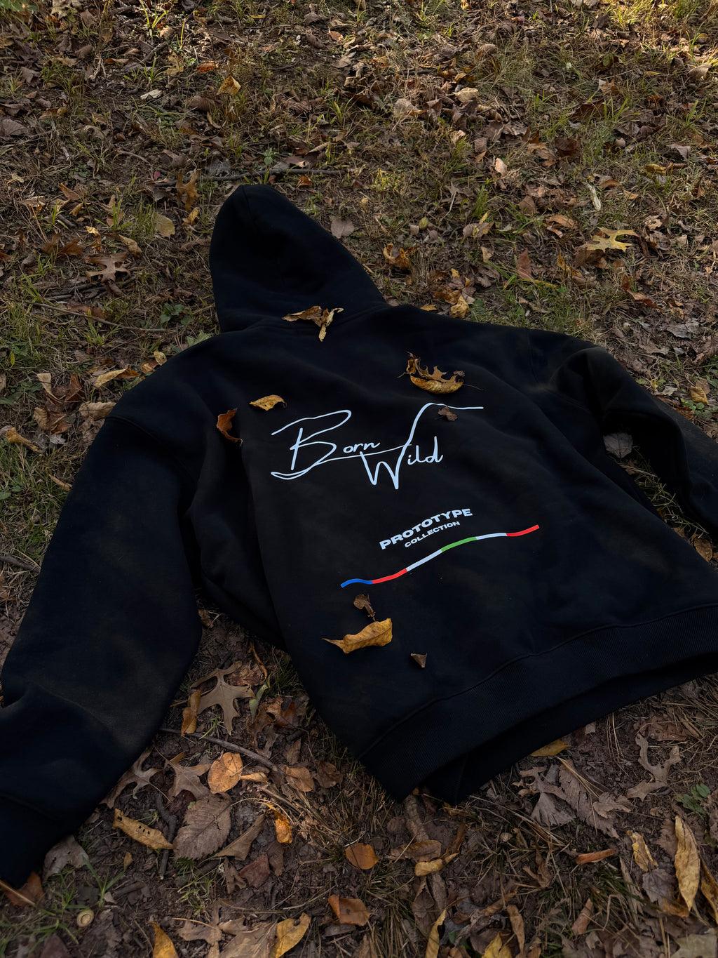 PROTOTYPE HOODIE BORN WILD - ONYX