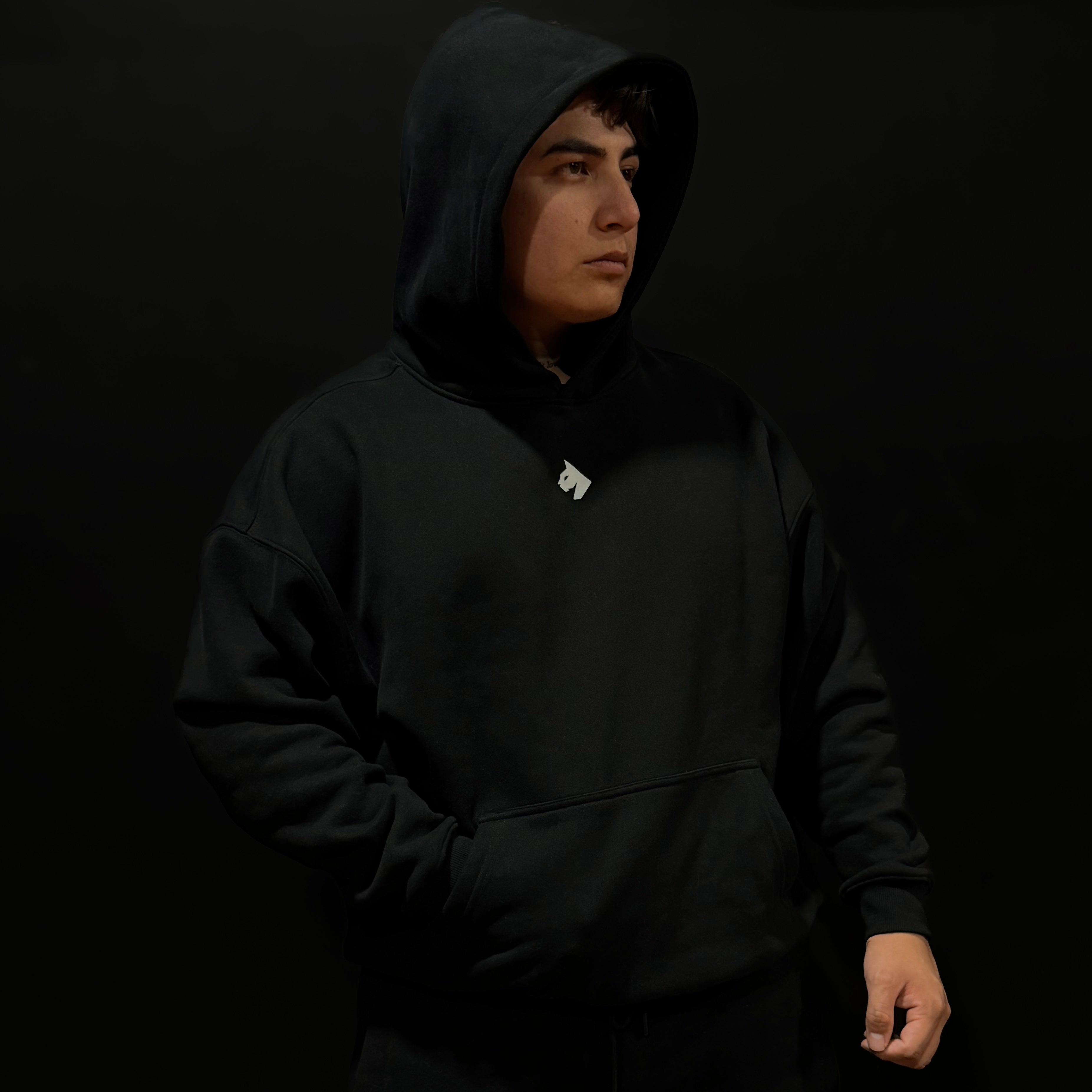 PROTOTYPE HOODIE BORN WILD - ONYX