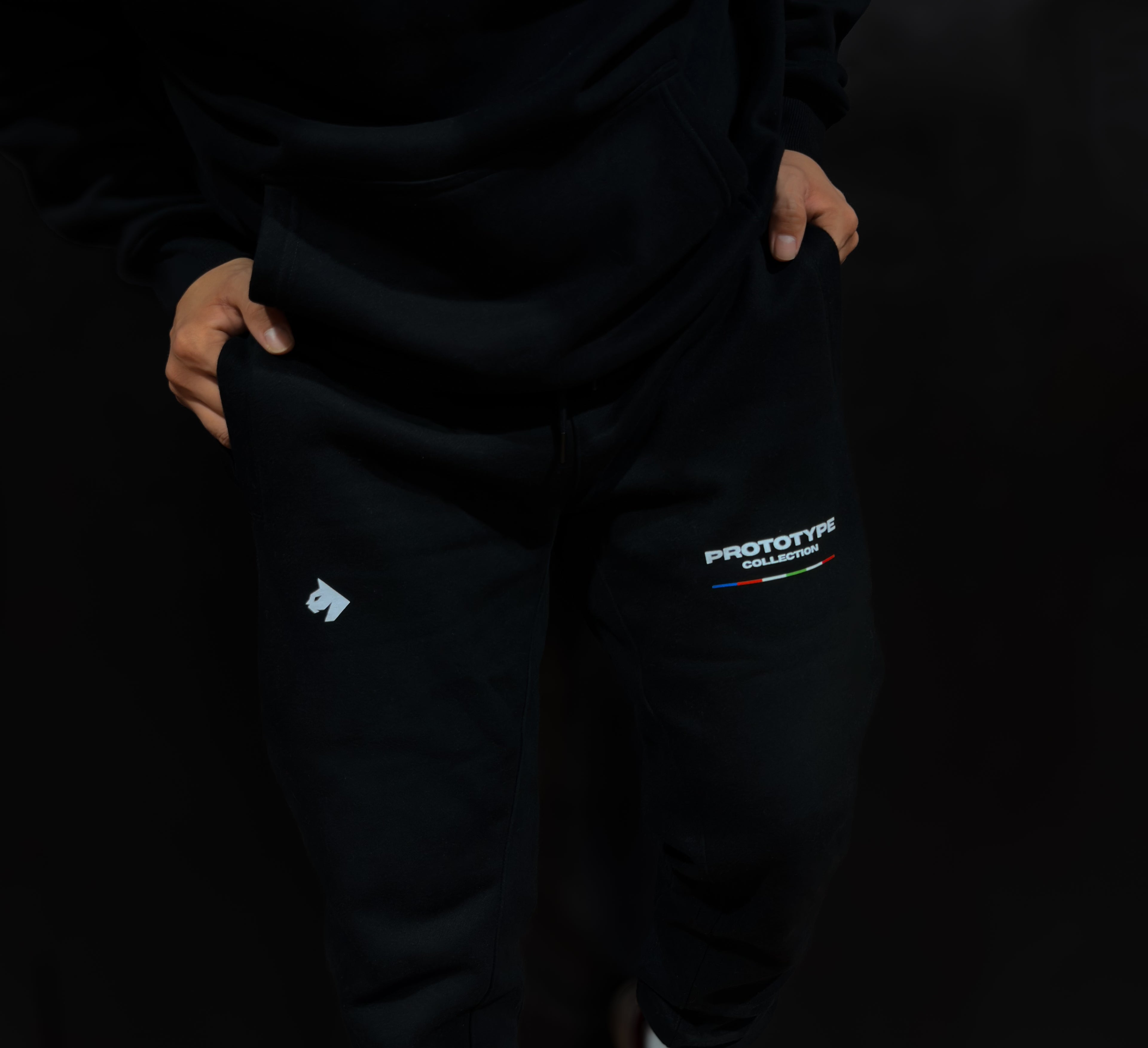 PROTOTYPE BORN WILD SWEATPANTS - ONYX